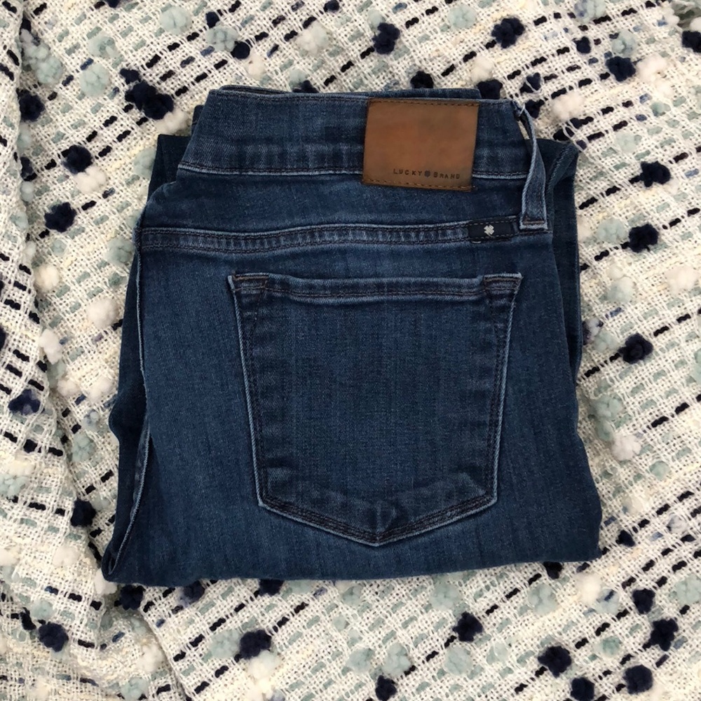 Medium Wash Charlie Skinny Jean